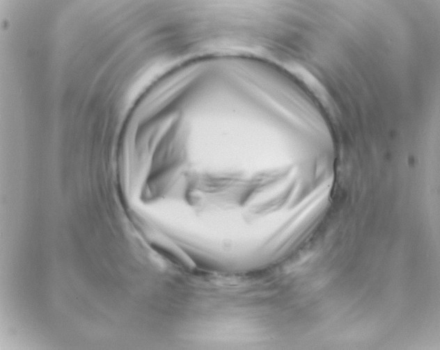 X0000088661191200706152025