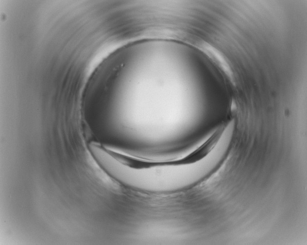 X0000088661192200706152025