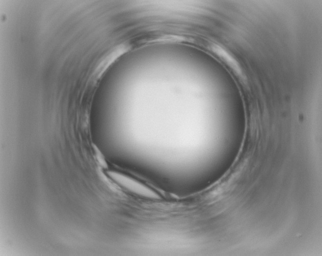 X0000088661193200706152025