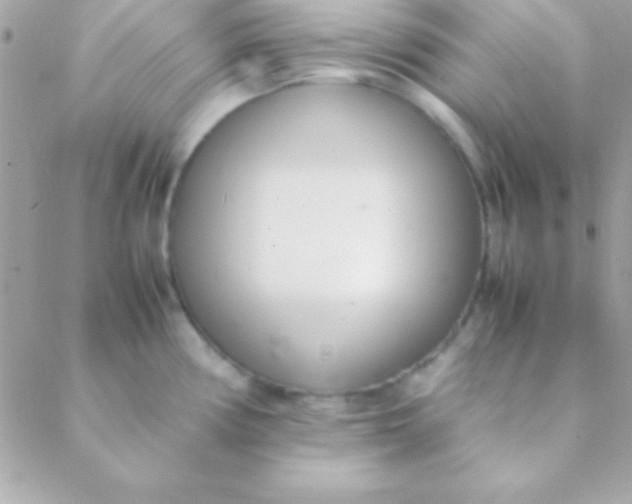 X0000088661194200706152025