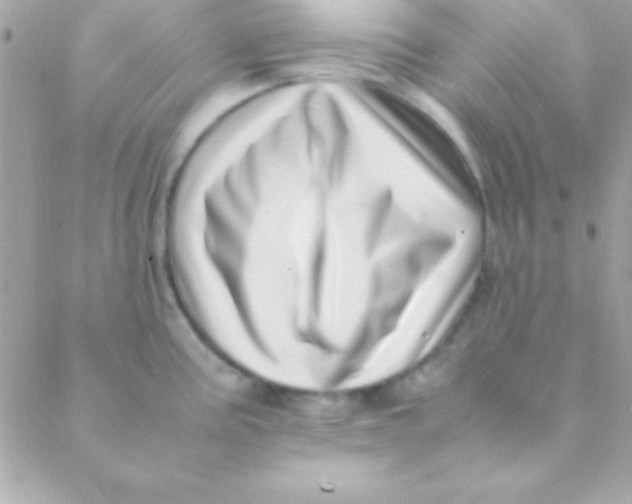 X0000088661195200706152025