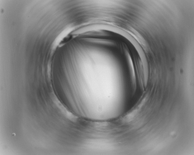 X0000088661196200706152025