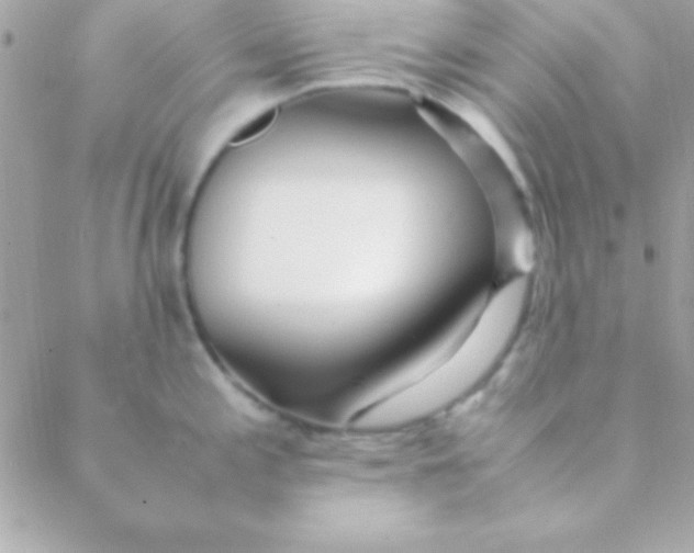 X0000088661197200706152025