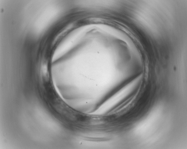 X0000088661198200706152025