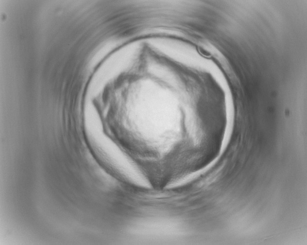 X0000088661199200706152025