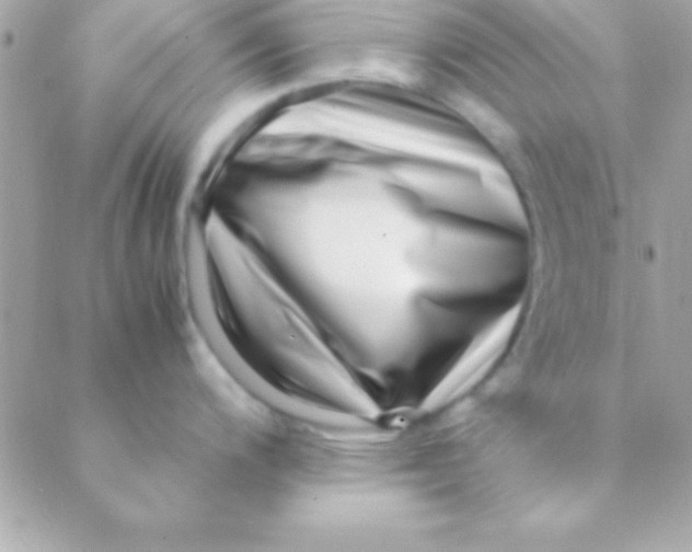 X0000088661200200706152024