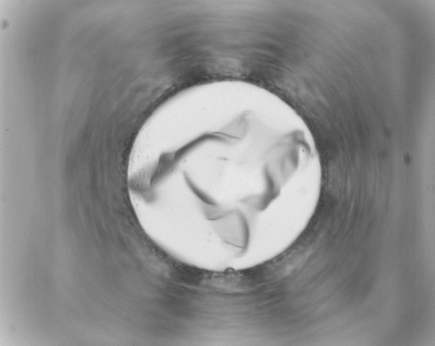 X0000088661201200706152024