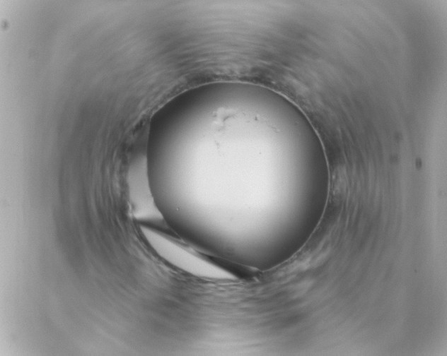 X0000088661202200706152024