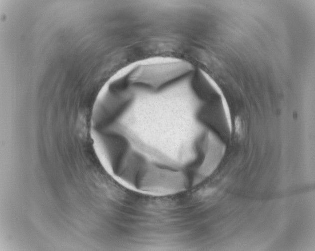 X0000088661203200706152024