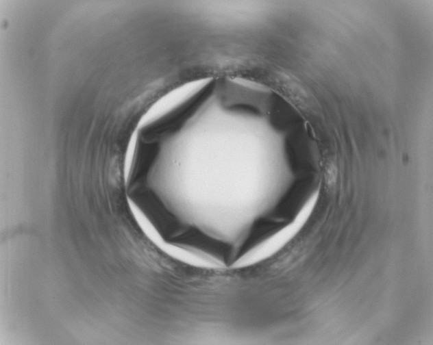 X0000088661204200706152024