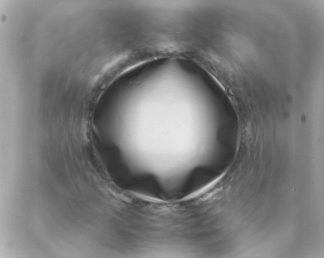 X0000088661205200706152024