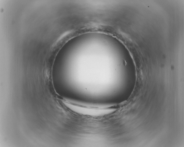 X0000088661206200706152024