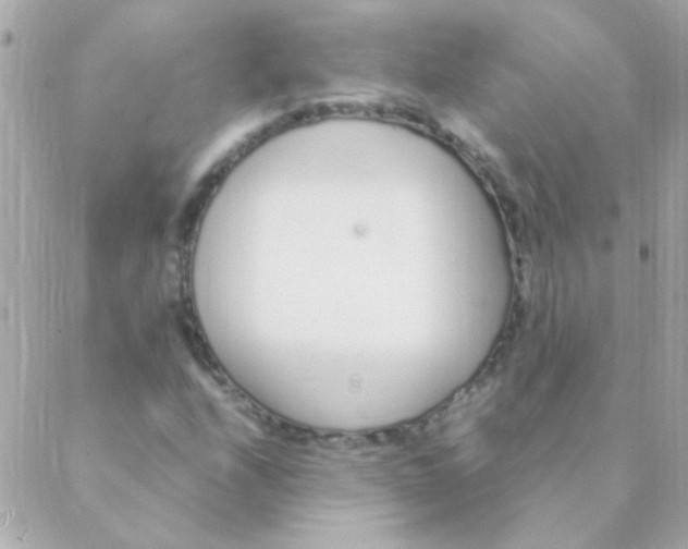 X0000088661208200706152024