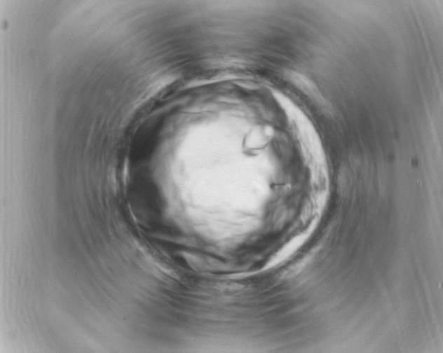 X0000088661209200706152024