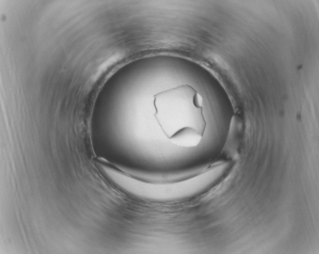 X0000088661210200706152024