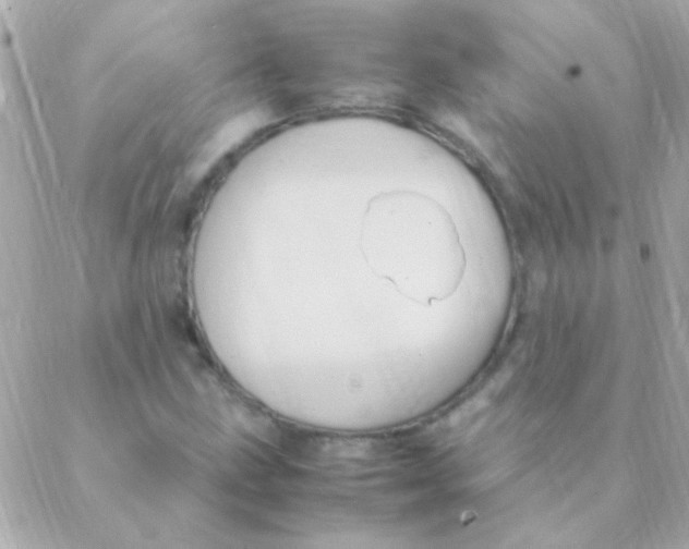 X0000088661211200706152024