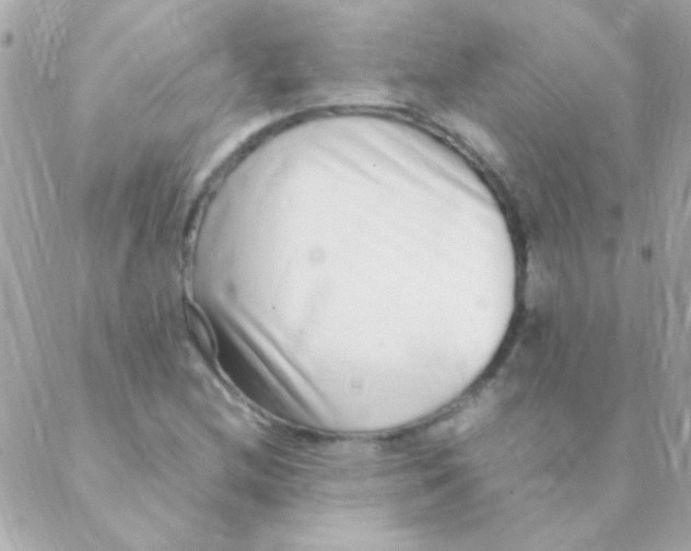 X0000088661212200706152024