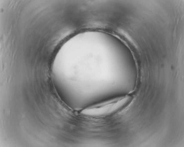 X0000088661213200706152024