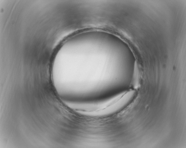 X0000088661214200706152024