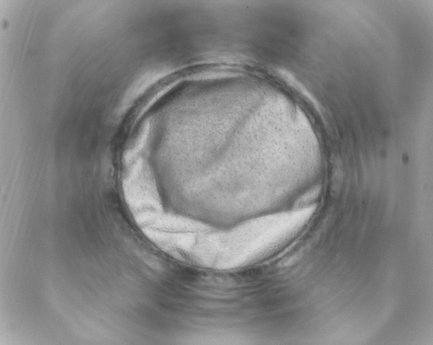 X0000088661215200706152024