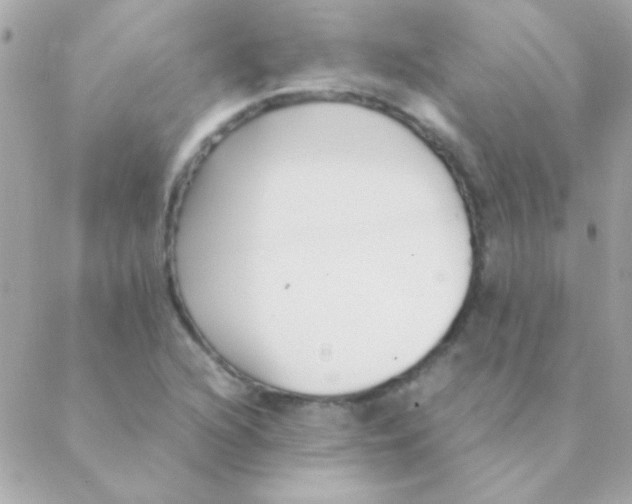 X0000088661216200706152024