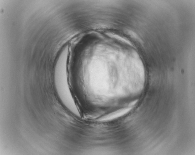 X0000088661217200706152024