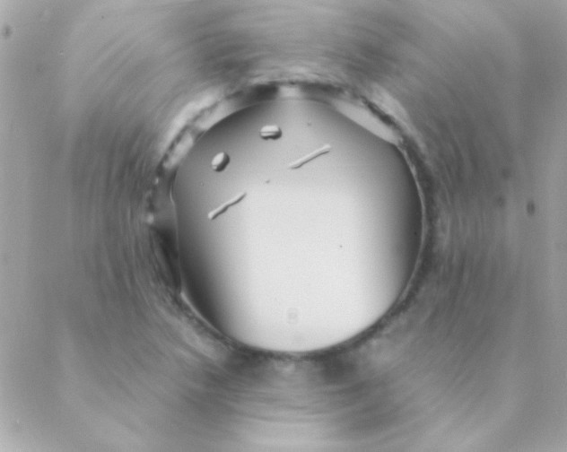 X0000088661218200706152024