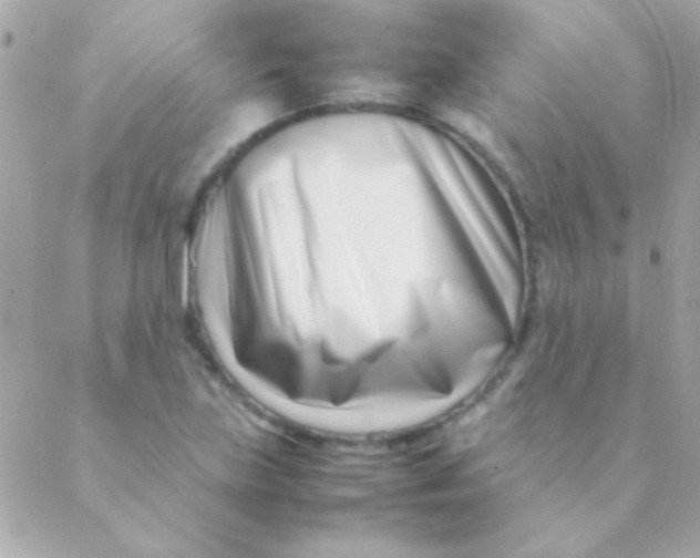 X0000088661219200706152024