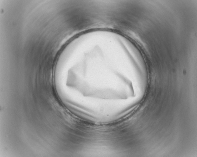 X0000088661220200706152024