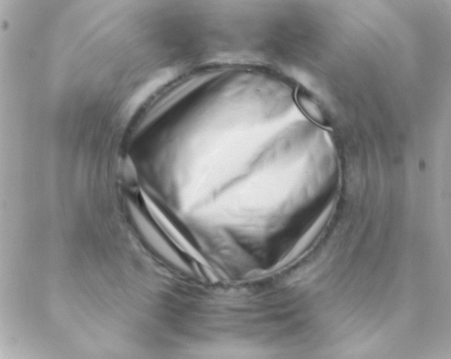 X0000088661221200706152024