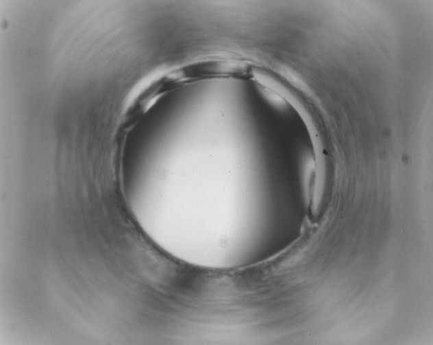 X0000088661222200706152024