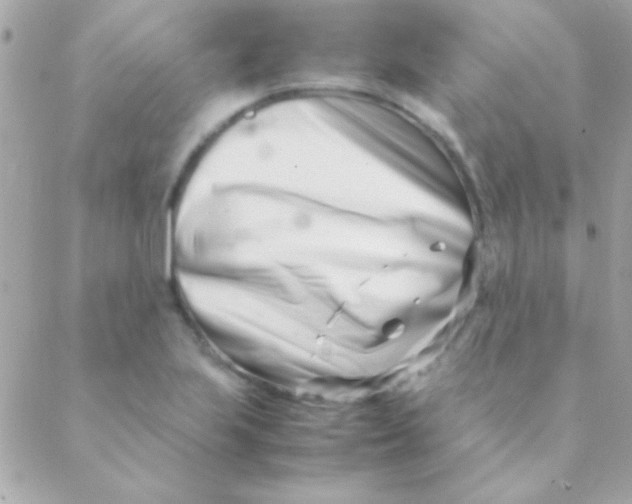 X0000088661223200706152024