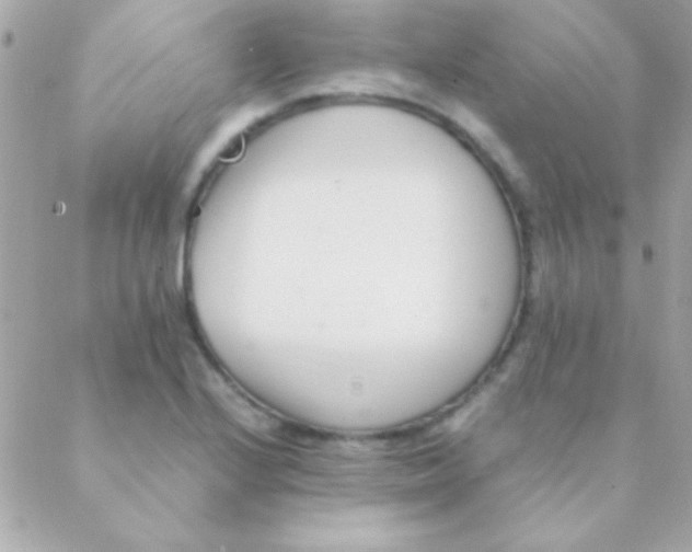 X0000088661224200706152024