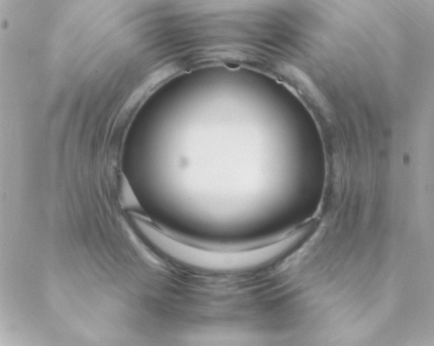 X0000088661225200706152024