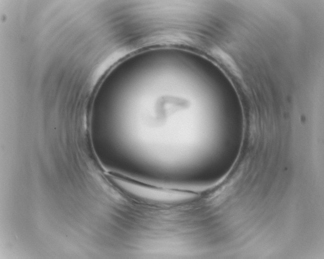 X0000088661226200706152024