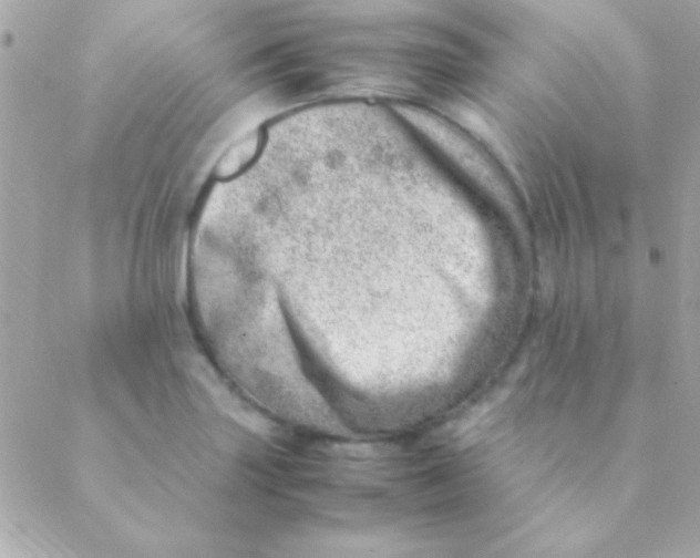 X0000088661227200706152024