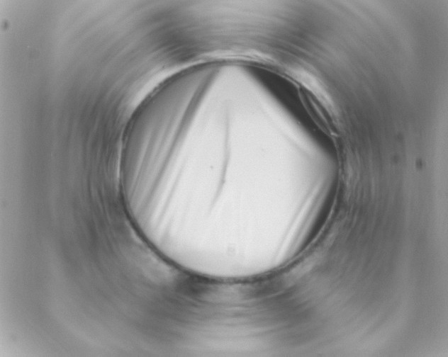 X0000088661228200706152024