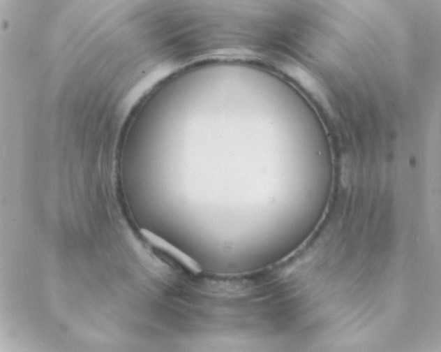 X0000088661229200706152024