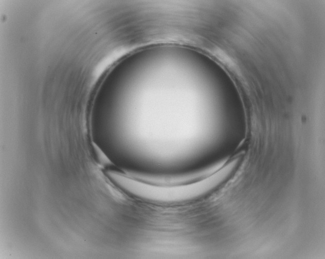 X0000088661230200706152024