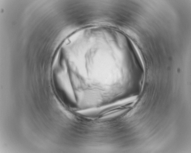 X0000088661231200706152024