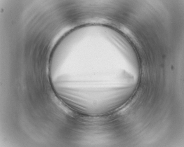 X0000088661232200706152024