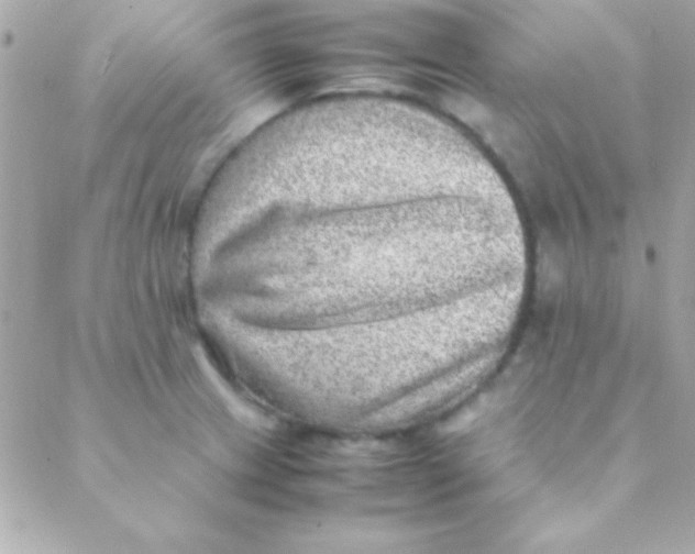 X0000088661233200706152024