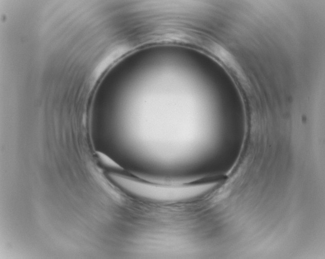 X0000088661234200706152024