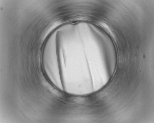 X0000088661235200706152024