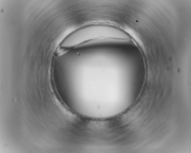 X0000088661237200706152024