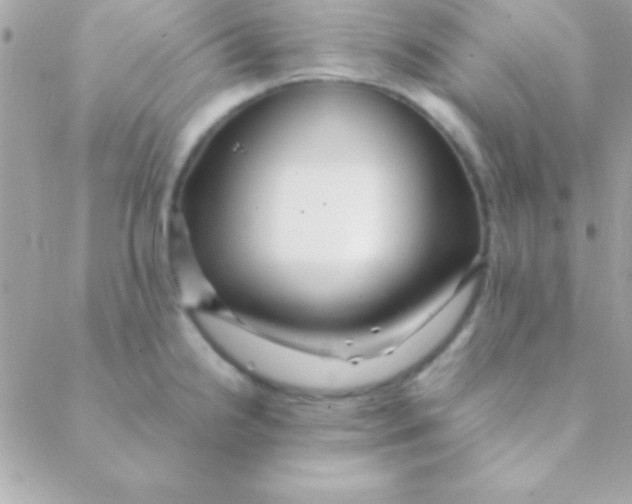 X0000088661238200706152024