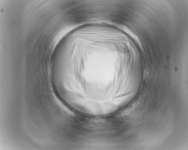 X0000088661239200706152024