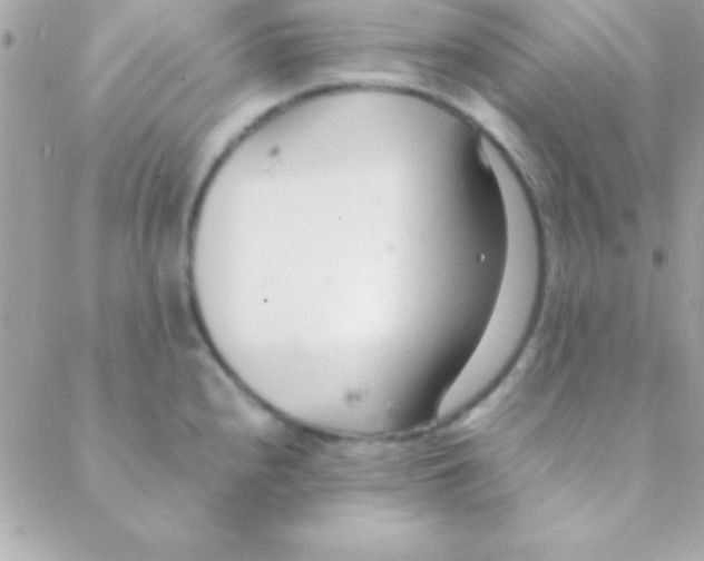 X0000088661240200706152024