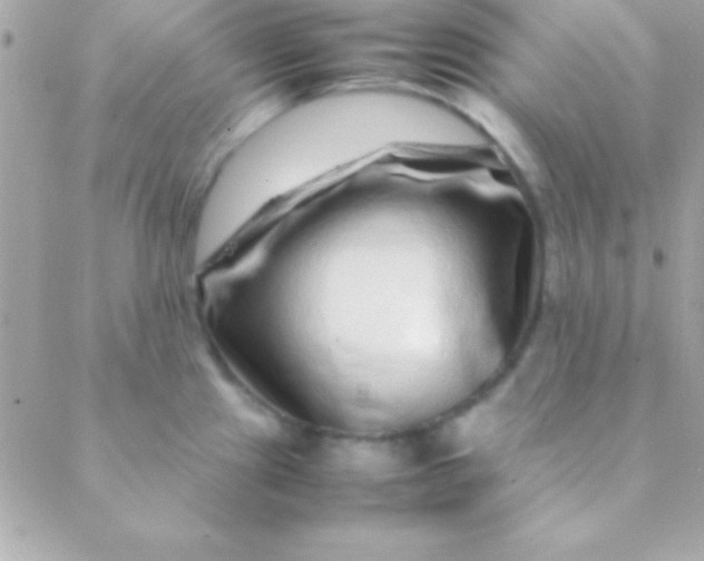 X0000088661241200706152024