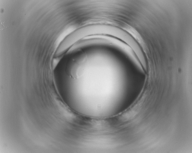 X0000088661242200706152024